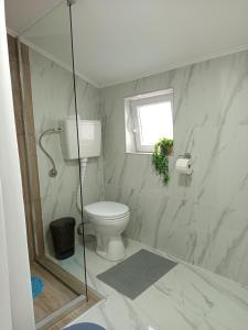 a bathroom with a toilet and a window at Sobe Išić in Veliko Gradište +30 photos