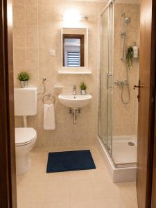 a bathroom with a toilet and a sink and a shower at Apartments Butkovic in Hvar +72 photos