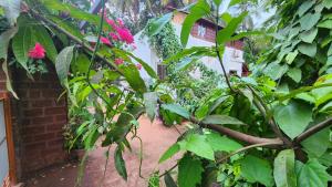a garden with green plants and pink flowers at Bhatye Beach Resort MTDC in Ratnagiri