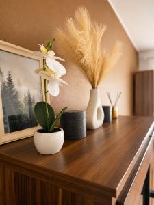 a table with vases and potted plants on it at Kaare in Uuemõisa