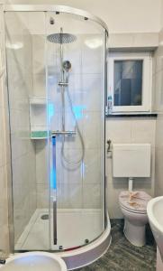 a bathroom with a shower and a toilet at Lukovo Seafront Apartments in Lukovo +32 photos