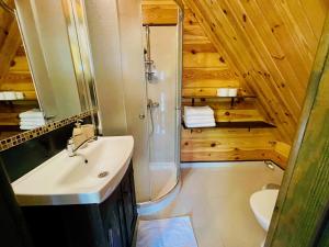 a bathroom with a shower and a sink and a toilet at Agroturystyka Na Górze - Obrocz 116A in Obrocz +52 photos
