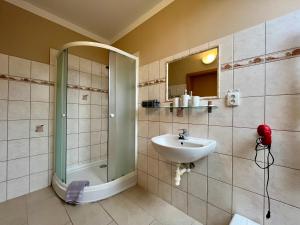 a bathroom with a shower and a sink at Penzion Žírovice in Františkovy Lázně +54 photos