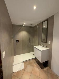 a bathroom with a shower and a sink at Hotel LA PLAGE in Bouillon +31 photos