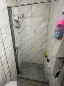 a bathroom with a shower and a toilet at Apartman Pejovic N in Smederevo