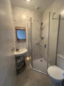 a bathroom with a shower and a sink and a toilet at Agroturystyka nad Jeziorem Orłowskim in Wielgie +19 photos
