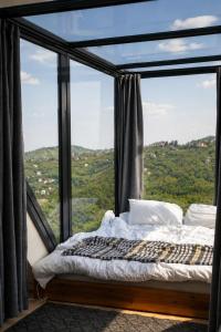 a bed in a room with a large window at Lazord Glass Bungalow Trabzon in Geçit