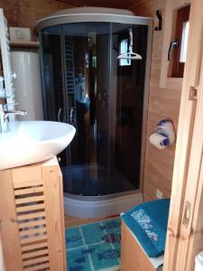 a bathroom with a shower and a white sink at Roulotte Anaîs in Grandcourt