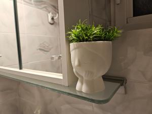 a plant in a toilet on a shelf in a bathroom at Seven Plus in Filiatra +40 photos