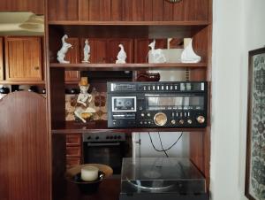 a kitchen with a cabinet with a microwave and a stove at Fiorela Gest House in Kalabaka