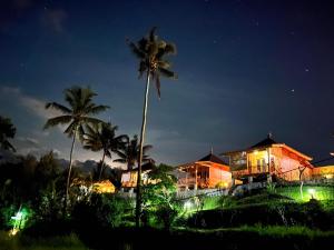 a house at night with a palm tree at Pandawa Villa Sidemen in Karangasem +15 photos