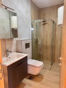 a bathroom with a shower and a toilet and a sink at Apartmani Ljupko in Pančevo +27 photos