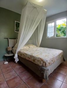 a bedroom with a bed with a mosquito net at La Kaz Kako in Sainte-Rose +26 photos