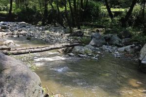 a river with rocks and a log in the water at NotOnMap- Saal River Homestay in Chamba +1 photo