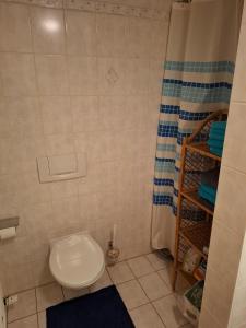 a bathroom with a toilet and a shower at FW Körner in Zwiesel +8 photos