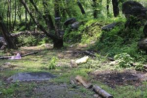 a forest with rocks and trees andgrass at NotOnMap- Saal River Homestay in Chamba