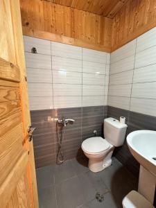 a bathroom with a toilet and a sink at Blue Marli Rooms in Himare