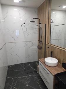 a bathroom with a sink and a shower and a toilet at Apartmán Square Lipno in Horní Planá +30 photos
