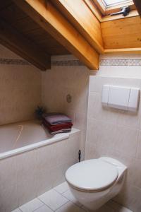 a bathroom with a toilet and a bath tub at Ferienwohnung Alpenwelt in Mittenwald +9 photos
