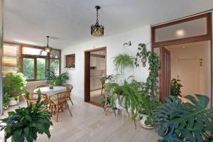 Zahrada ubytování Rooms Beros