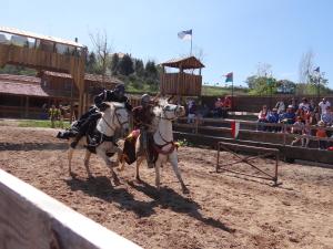 a man riding on the back of two horses in an arena at That Little Place in Batalha in Batalha