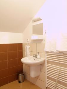 a small bathroom with a sink and a mirror at Obecní dům Mokré Lazce in Opava