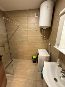 a bathroom with a shower and a toilet and a sink at Kokolino in Irig +3 photos