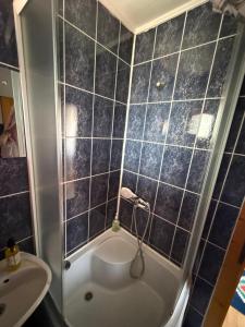 a bathroom with a shower and a toilet and a sink at Casa Lav in Sinaia