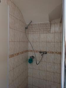 a shower with a hose in a bathroom at penzion ŽEROTÍN in Staré Město +73 photos