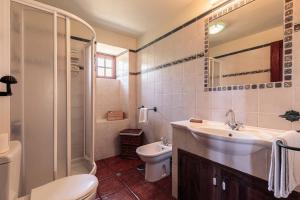 a bathroom with a sink and a toilet and a shower at Los Hondos in Garafía +20 photos
