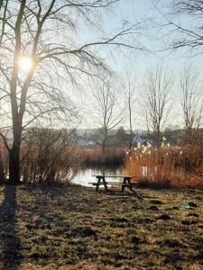 a picnic table in a park next to a lake at Gästehaus IWANESTAL in Eibesthal