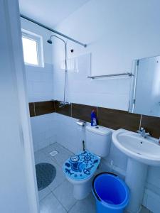 a bathroom with a toilet and a sink at one bedroom airbnb with swimmingpool, kiambu road in Kiambu +20 photos