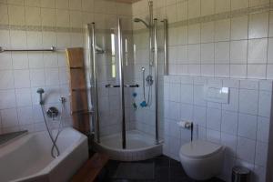 a bathroom with a shower and a tub and a toilet at Fewo Obermoos in Teisendorf