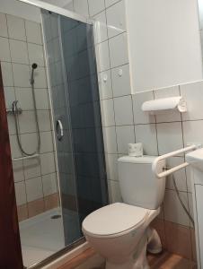 a bathroom with a toilet and a shower at Pokoje gościnne u Antka in Krynki