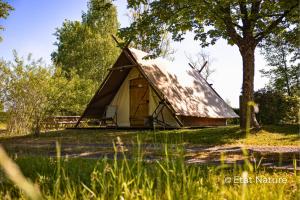 a tent with a tin roof on a field at Gîte du sorcier - Etat Nature in Magnières