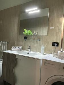 a bathroom with a sink and a washing machine at Il Rifugio nel Matese in San Massimo