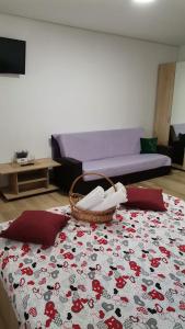 a living room with a bed and a basket on a rug at Casa Corina in Turda
