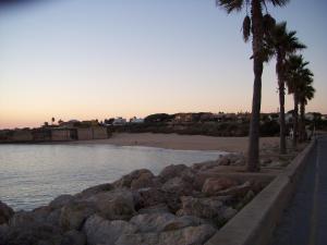 a body of water with palm trees and a beach at Apartamento Caballo Sherry in El Puerto de Santa María