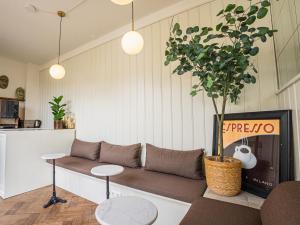 a living room with a couch and a potted plant at Hotel Nine in Zandvoort
