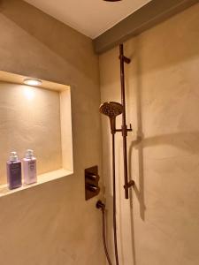 a shower in a bathroom with a window and a sink at New monumental garden view Studio in Amsterdam +8 photos