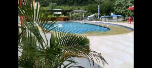 a swimming pool with a palm tree in front of it at Hotel campestre terrazas y sol in La Vega +32 photos