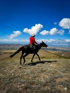 a person riding a horse on top of a hill at Mountain Horse Trekking Guesthouse in Karakol