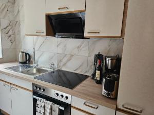 a kitchen with a sink and a stove top oven at Haus zur Ölmühle 2 in Steinsfeld