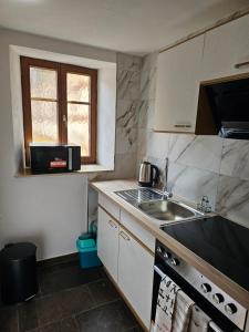 a small kitchen with a sink and a stove at Haus zur Ölmühle 2 in Steinsfeld