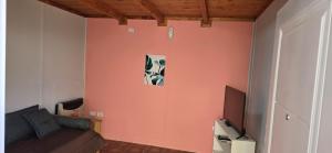 a living room with a couch and a pink wall at NEUQUEN alojamiento in Neuquén