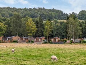 a group of sheep grazing in a field with houses at Glenbeagles Lodge in Dollar +16 photos