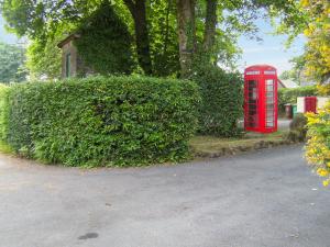 a red phone booth sitting next to a hedge at The Garden Lodge Flat - Uk49415 in Pembrokeshire
