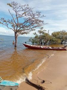 a boat sitting in the water next to a tree at Caju Hostel in Alter do Chao