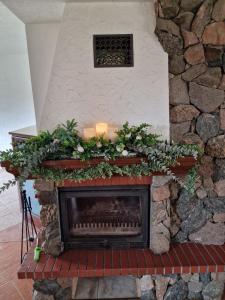 a fireplace with candles and plants on top of it at Bylew Zacisze in Licheń Stary