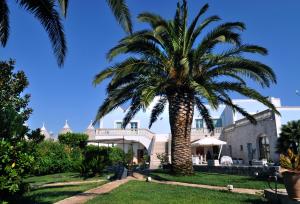 a palm tree in front of a building at Agriturismo Masseria Calongo in Cisternino